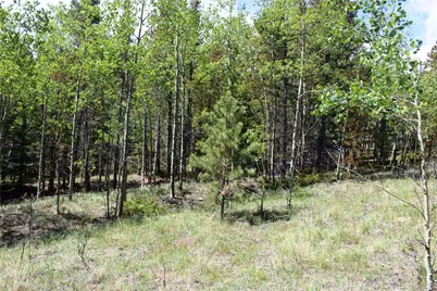 6050 Virginia Canyon Road, Central City, CO 80427 - Photo 22