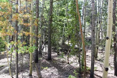 6050 Virginia Canyon Road, Central City, CO 80427 - Photo 34