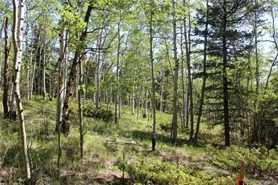 6050 Virginia Canyon Road, Central City, CO 80427 - Photo 12