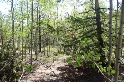 6050 Virginia Canyon Road, Central City, CO 80427 - Photo 18