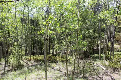 6050 Virginia Canyon Road, Central City, CO 80427 - Photo 16