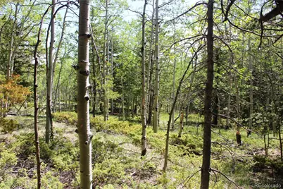 6050 Virginia Canyon Road, Central City, CO 80427 - Photo 14