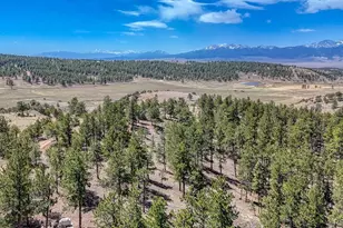 4701 Co Rd 323, Westcliffe, CO 81252 - Photo 34