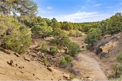 Lot 31 County Rd 521, Walsenburg, CO 81089 - Photo 30