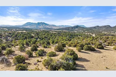 Lot 31 County Rd 521, Walsenburg, CO 81089 - Photo 8