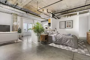 1610 Little Raven Street, Denver, CO 80202 - Photo 8