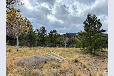 3330 Singletree Road, Hartsel, CO 80449 - Photo 6