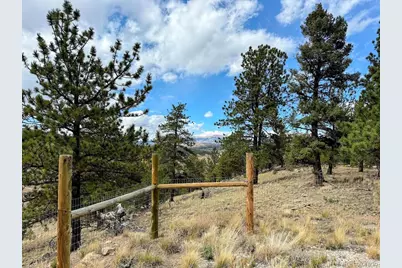 3330 Singletree Road, Hartsel, CO 80449 - Photo 14