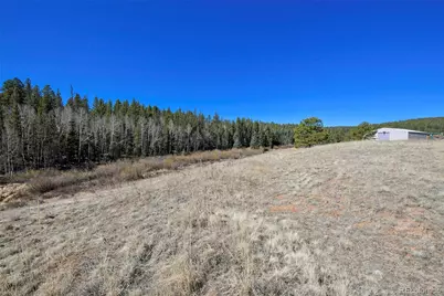 169 Saddleback Creek Drive, Florissant, CO 80816 - Photo 22