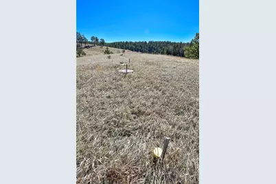 169 Saddleback Creek Drive, Florissant, CO 80816 - Photo 18