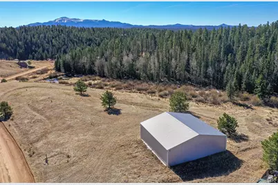 169 Saddleback Creek Drive, Florissant, CO 80816 - Photo 1