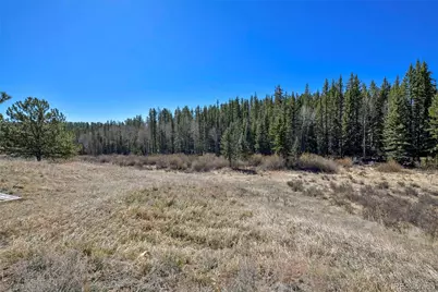 169 Saddleback Creek Drive, Florissant, CO 80816 - Photo 30