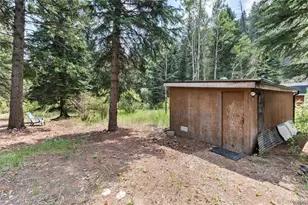 403 Fall River Rd, Idaho Springs, CO 80452 - Photo 28