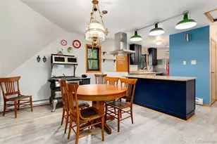 403 Fall River Rd, Idaho Springs, CO 80452 - Photo 6