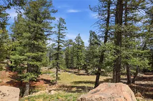 24073 Peak Dr, Conifer, CO 80433 - Photo 2