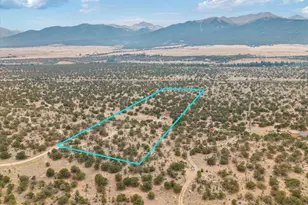 33299 Co Rd 371, Buena Vista, CO 81211 - Photo 4