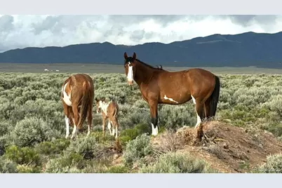 16383 Peacock Road, San Luis, CO 81152 - Photo 32