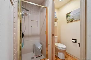 10561 Harebell Run, Littleton, CO 80125 - Photo 26