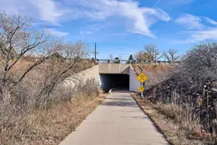 6667 Club Villa Rd, Parker, CO 80134 - Photo 50