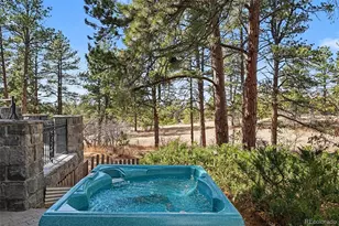 6650 Village Rd, Parker, CO 80134 - Photo 38