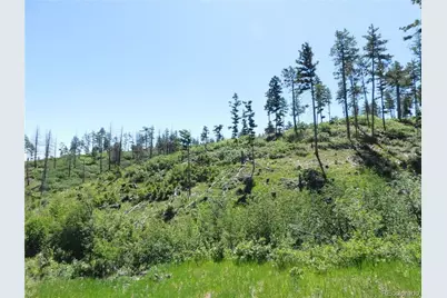 8249 Yuma Circle, Larkspur, CO 80118 - Photo 36