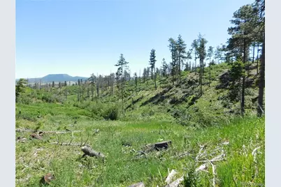 8249 Yuma Circle, Larkspur, CO 80118 - Photo 18