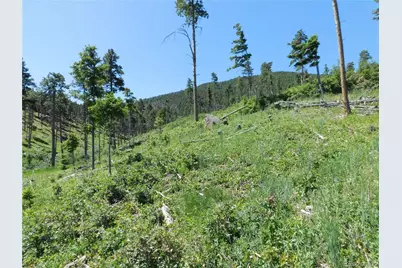 8249 Yuma Circle, Larkspur, CO 80118 - Photo 40