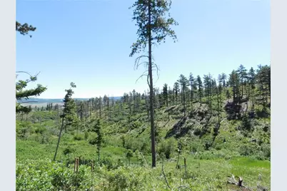 8249 Yuma Circle, Larkspur, CO 80118 - Photo 10