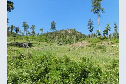 8249 Yuma Circle, Larkspur, CO 80118 - Photo 32