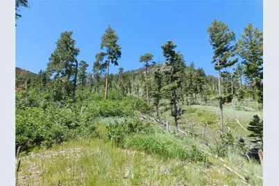 8249 Yuma Circle, Larkspur, CO 80118 - Photo 50