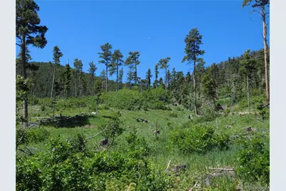 8249 Yuma Circle, Larkspur, CO 80118 - Photo 34