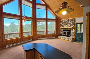 305 Private Dr, Lake George, CO 80827 - Photo 4