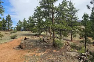 305 Private Dr, Lake George, CO 80827 - Photo 26