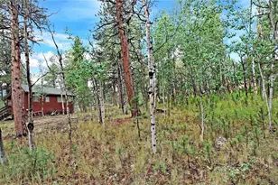 109 Wolf Rd, Bailey, CO 80421 - Photo 12