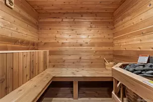 1485 Gore Cir, Larkspur, CO 80118 - Photo 48