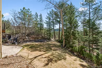 234 Lead King Drive, Castle Rock, CO 80108 - Photo 44