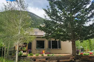 1702 Clear Creek Dr, Georgetown, CO 80444 - Photo 14