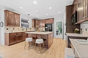 10683 Amesbury Way, Highlands Ranch, CO 80126 - Photo 4