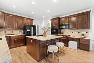 10683 Amesbury Way, Highlands Ranch, CO 80126 - Photo 14