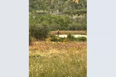 767 Jack Rabbit Road, Craig, CO 81625 - Photo 20