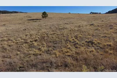 152 Wulsten Way, Westcliffe, CO 81252 - Photo 6