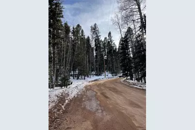 222 Banner Trail, Florissant, CO 80816 - Photo 2