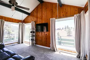 731 Midland Ct, Lake George, CO 80827 - Photo 4