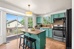 4807 N Bearlily Way, Castle Rock, CO 80109 - Photo 8