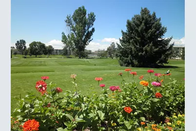 660 S Alton Way #3B, Denver, CO 80247 - Photo 36