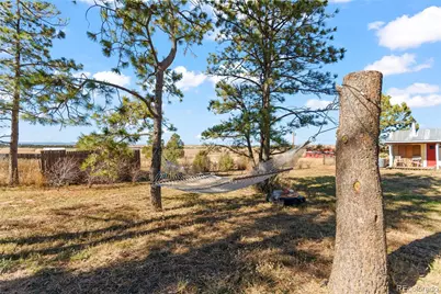 4729 County Road 106, Elizabeth, CO 80107 - Photo 32