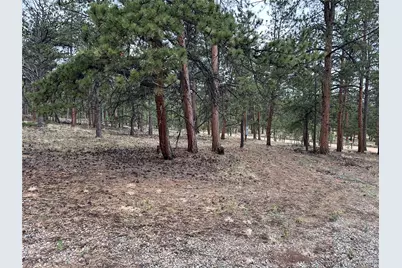 120 Harness Way, Hartsel, CO 80449 - Photo 10