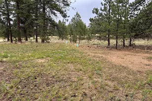 120 Harness Way, Hartsel, CO 80449 - Photo 1