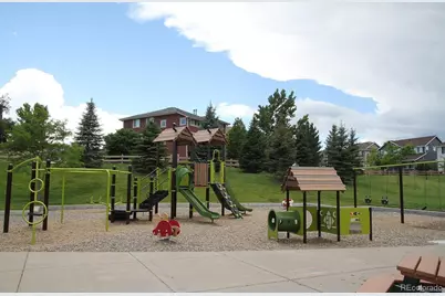 2632 Pemberly Avenue, Highlands Ranch, CO 80126 - Photo 42