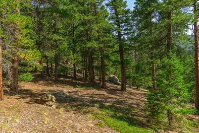 0 West Meadow Road, Evergreen, CO 80439 - Photo 26
